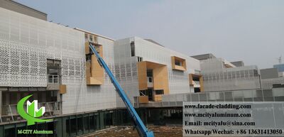 Guangzhou, China Perforated metal panels solid aluminum wall cladding with decorative patterns white color