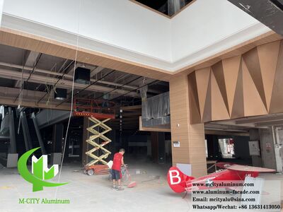 Guangdong, China External wall cladding 3D design aluminum sheet solid aluminum 
